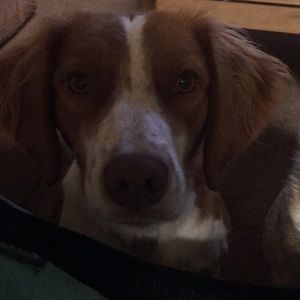 Meet your Posher, Desiree